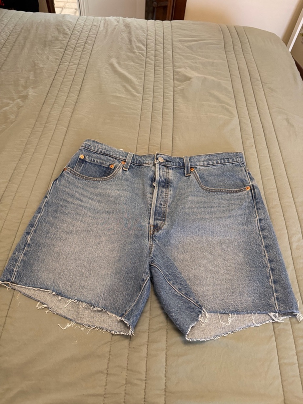 Levi’s Shorts- WORN ONCE (Size 33)